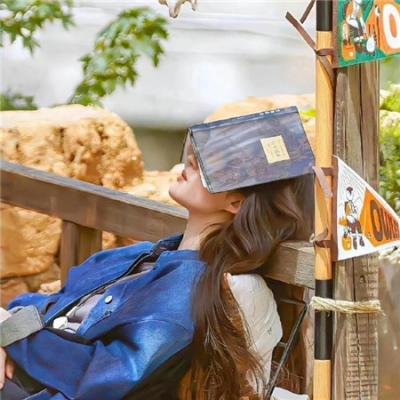 包青天之开封奇案